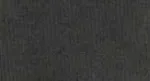 Pigment Black